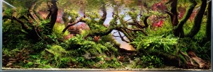 Nemeth Patrik : The Rebirth of Natur