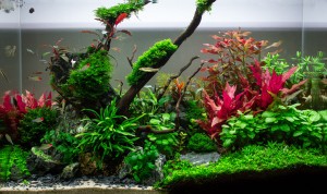 091. 60x30x36 cm