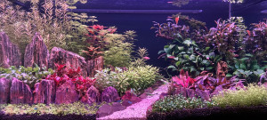 0124 . 80x40x40 akvárium