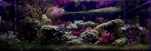 0101. Black Valley