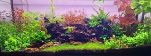 060. 100x30x40cm