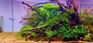 081. 60x30x30