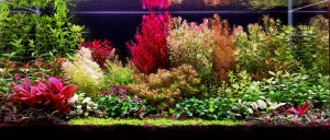 025 . Colorful life