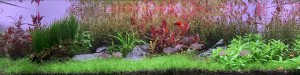 059 . Az akvárium mérete 80x38x25 76L. 