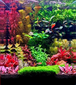 112. Waterworld 