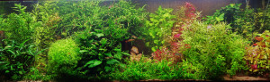 127.  360 LITER SZERELEM. 