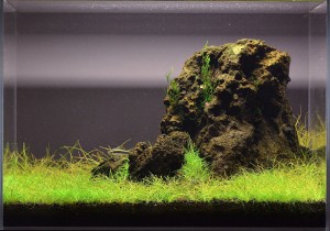 15.