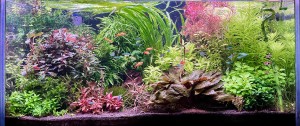 095. 200 liter(100*40*50)