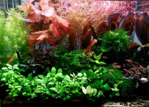 100. 60×30×45