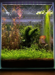 0052.30 liter