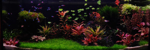 0038.100x35x40
