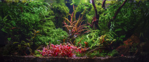 0013. 100x45x40 cm, 180 L.