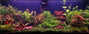 0109. 120 x 40 x 55-