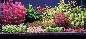 0045. 100x45x50