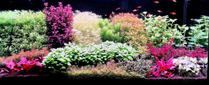 0068. 100x40x52cm