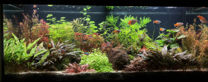 0021. 121 x 41 x 55 cm