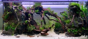 0092.  120X40X50 cm 240L