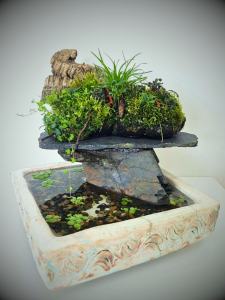 Life on the Rock