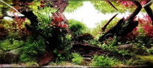 Alluvial valley