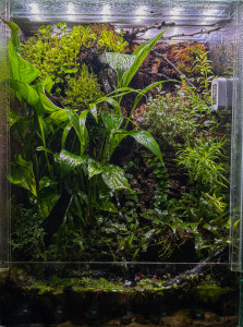 The Ecosystem