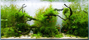 112 .  Sensitive archipelago