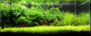 Yellow birodalom