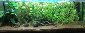 VeryLowTech 180 liter