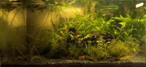 Nano CPD folyómeder