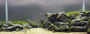 193 .   100 L