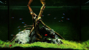 203. 80x35x50 140liter