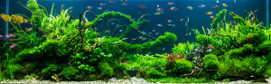 041. 540 l  (180x50x60)