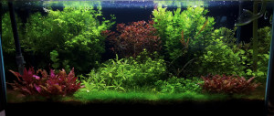 047. 100x40x45 optiwhite akvárium