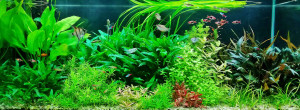 055. 240 liter  Üveg: 120x40x50