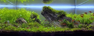 0117 . 50 Liter Low Tech