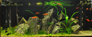 048. Akvárium mérete: 120x50x50, 300l