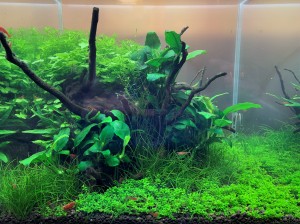 107  --  30x30x30
