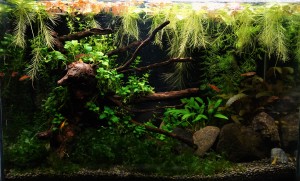 131  -- 27 liter