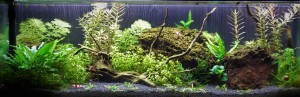 168  --  18 Liter