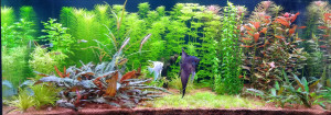 70  -  97x55x45