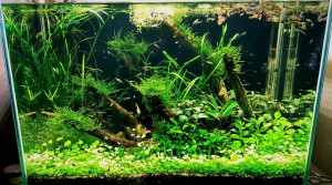 144  -- 72 liter