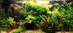 94  --  200 liter