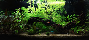 132  --  54 liter