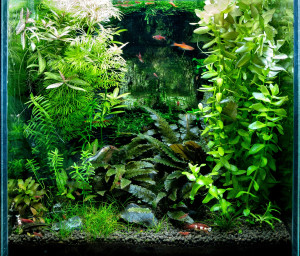 052.  27l low tech
