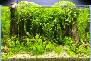 0130 . 40 liter (45x30x30cm)