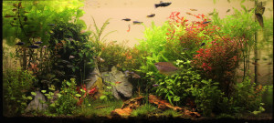 069 .  80x40x35 (112l)