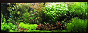 064 . 100x40x50