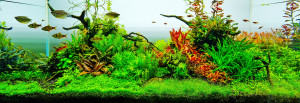 Rásonyi Kovács Márton . 120x45x45