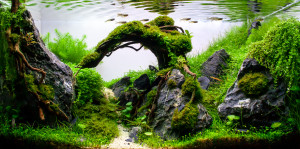 III. Helyezett : Dobrotka Norbert " Gate of Journeys"
