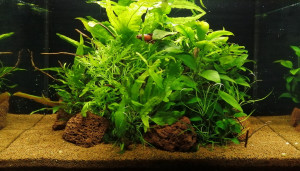 081. Low tech 45l