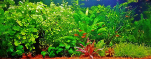 0110. 80x40x35 cm, 112 liter,